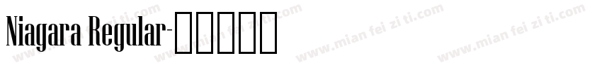 Niagara Regular字体转换